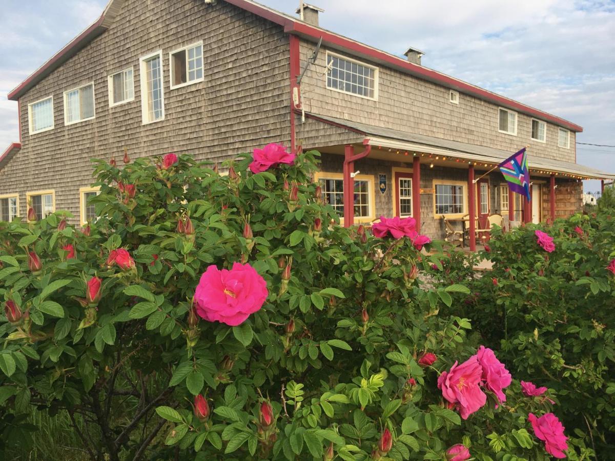 Auberge Cafe Acadien Bonaventure Exteriér fotografie